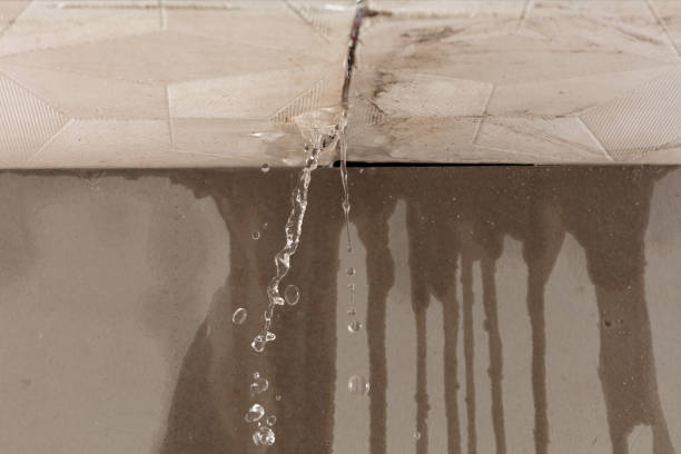 Professional Water Damage Inspection technician working in Salem, VA
